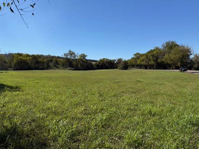 235 Old Mulberry Road Fayetteville, TN 37334 - Photo 34 of 37 a view of field with tall trees