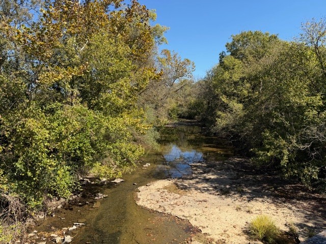 235 Old Mulberry Road Fayetteville, TN 37334 - Photo 35 of 37 a view of a yard with plants and trees