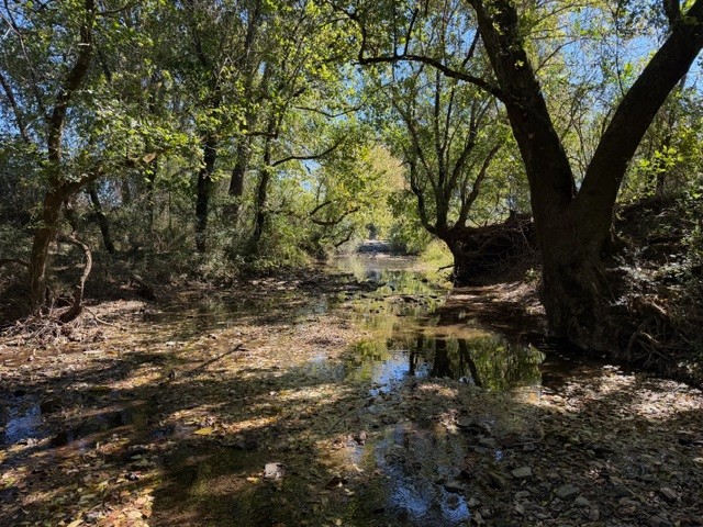 235 Old Mulberry Road Fayetteville, TN 37334 - Photo 37 of 37