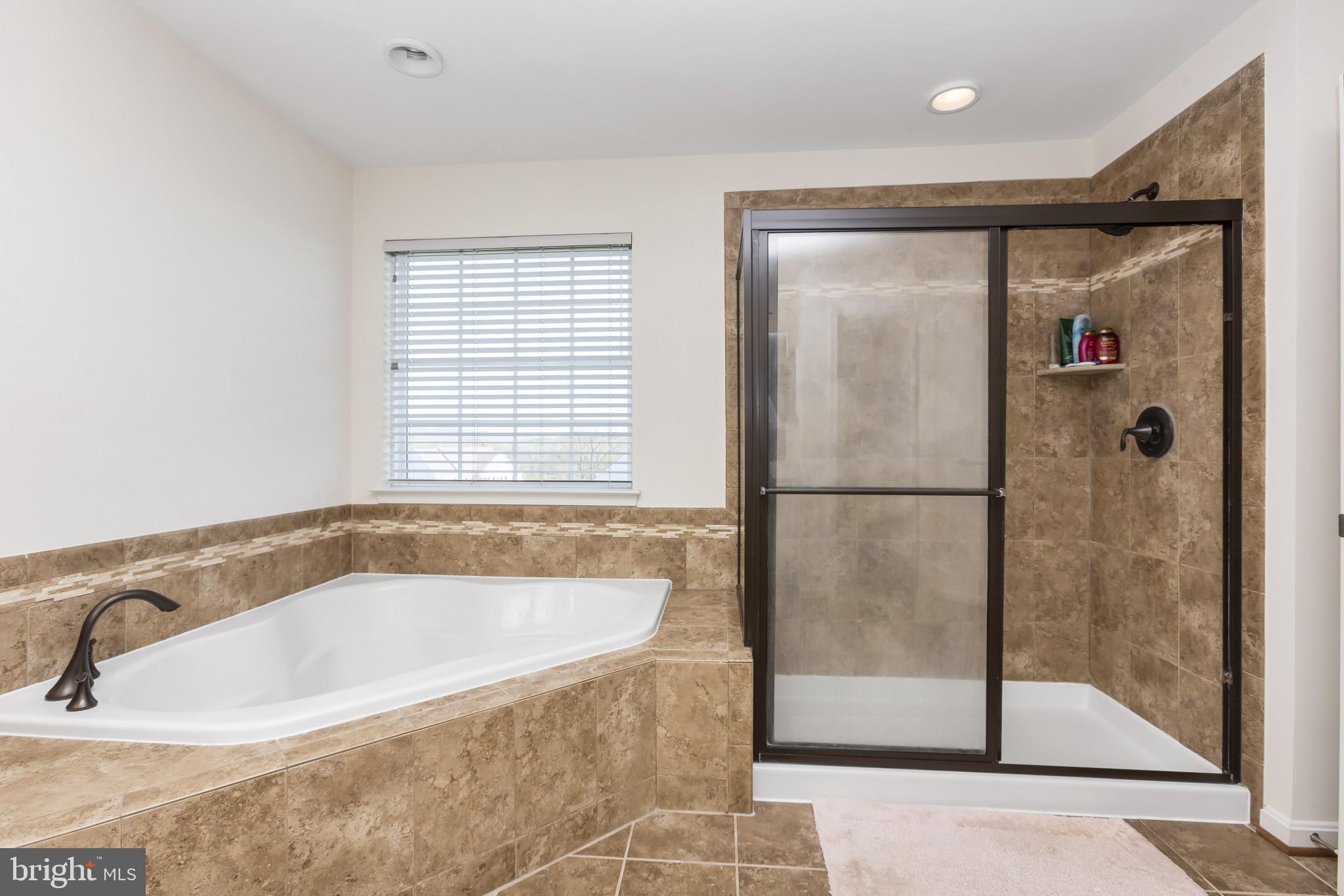 43114 Rocks Way Leesburg, VA 20176 - Photo 19 of 37 Soaking tub and separate shower