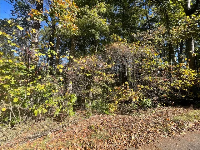 $29,900 | Tract C Vine Road, Westminster, SC 29693