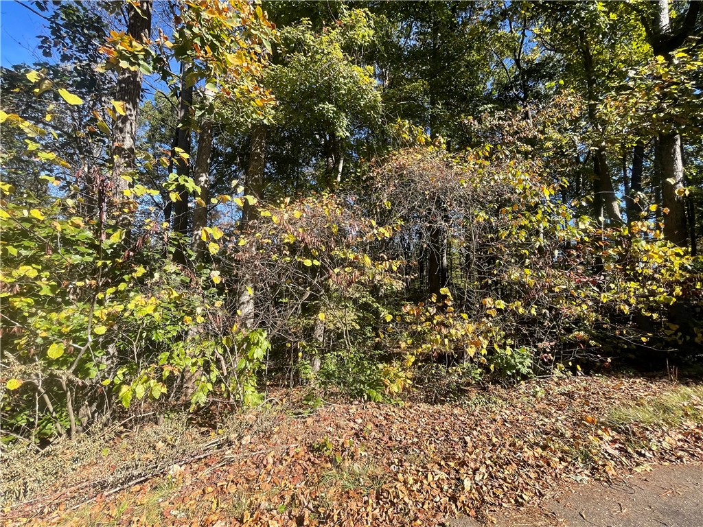 Tract C Vine Road Westminster, SC 29693 - Photo 4 of 7