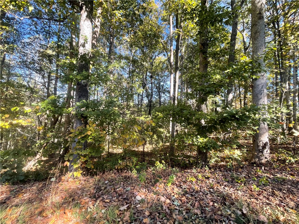 Tract C Vine Road Westminster, SC 29693 - Photo 5 of 7