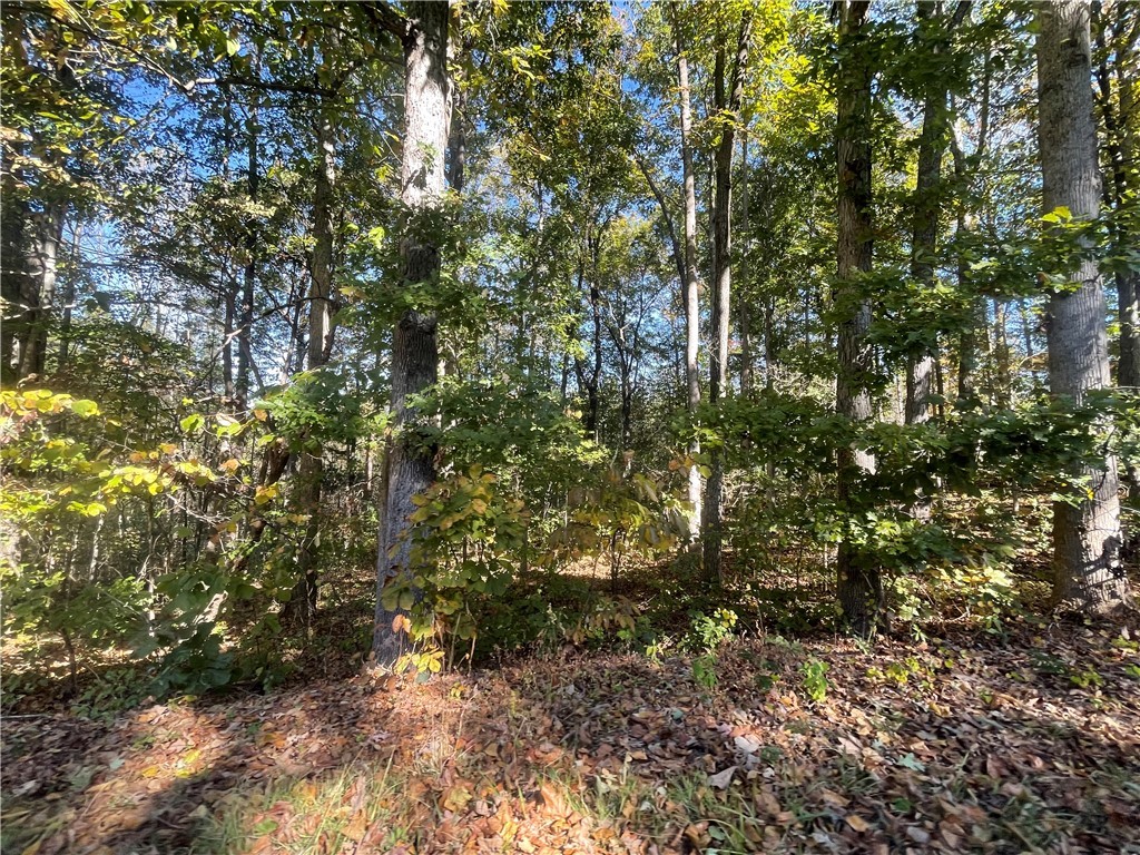 Tract C Vine Road Westminster, SC 29693 - Photo 6 of 7