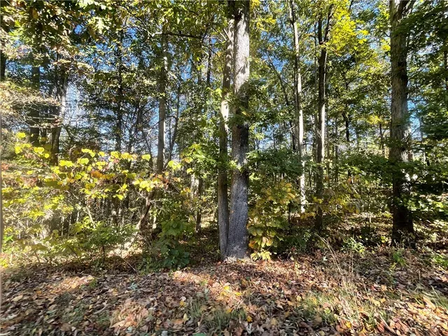 $29,900 | Tract C Vine Road, Westminster, SC 29693