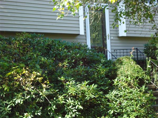 249 Rock Valley Road Holyoke, MA 01040 - Photo 21 of 22