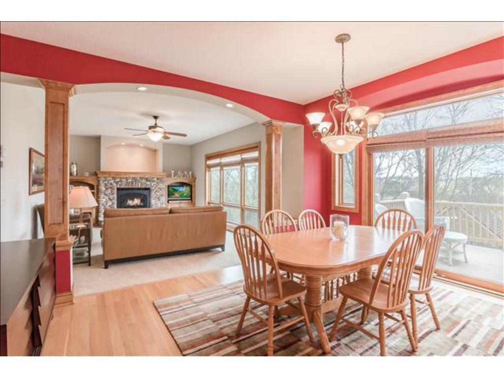 1352 Romeo Court Chaska, MN 55318 - Photo 13 of 34 Gallery Image 13