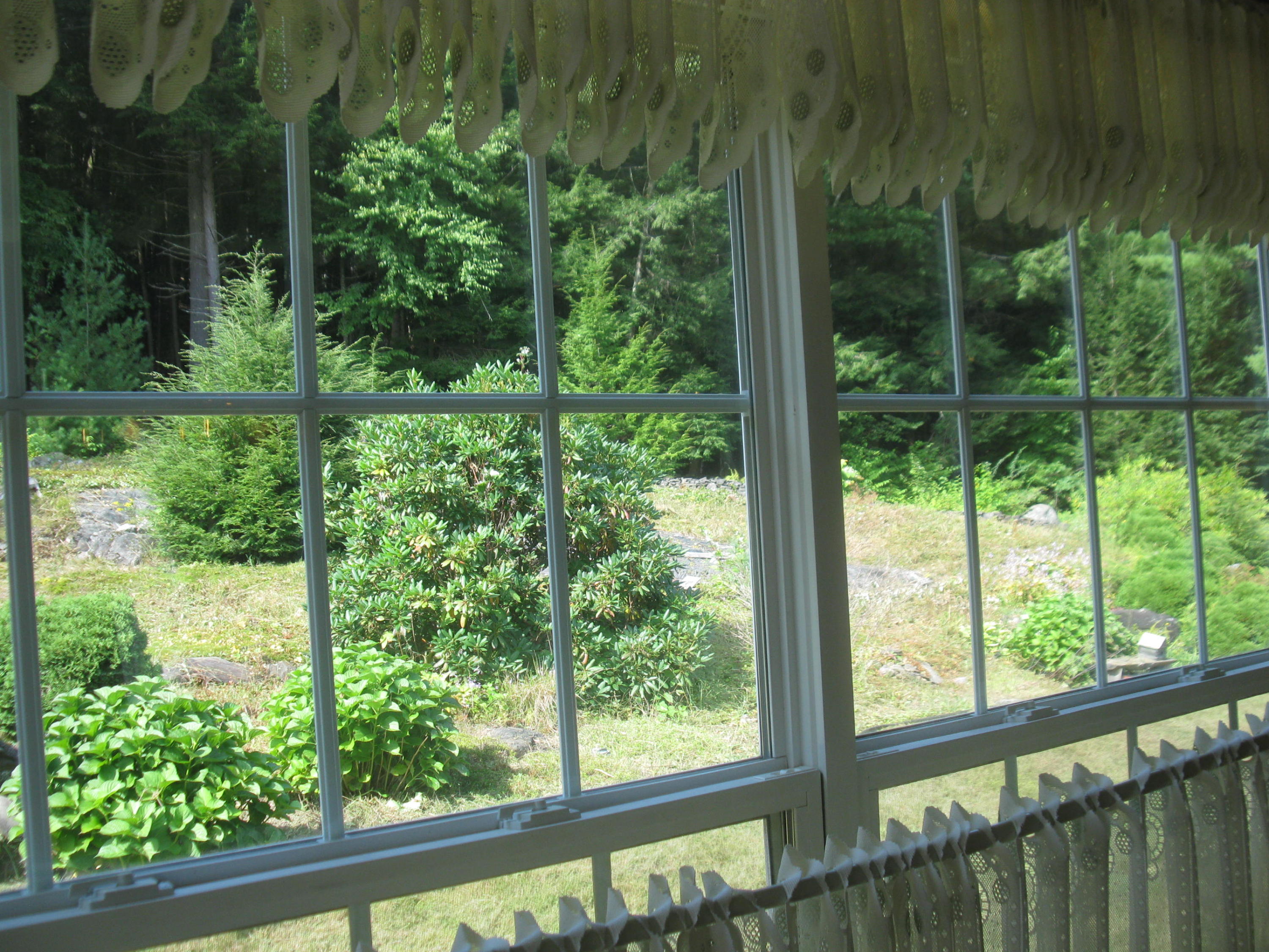 669 Main Street Springvale, ME 04083 - Photo 11 of 24 View of yard from Kitchen