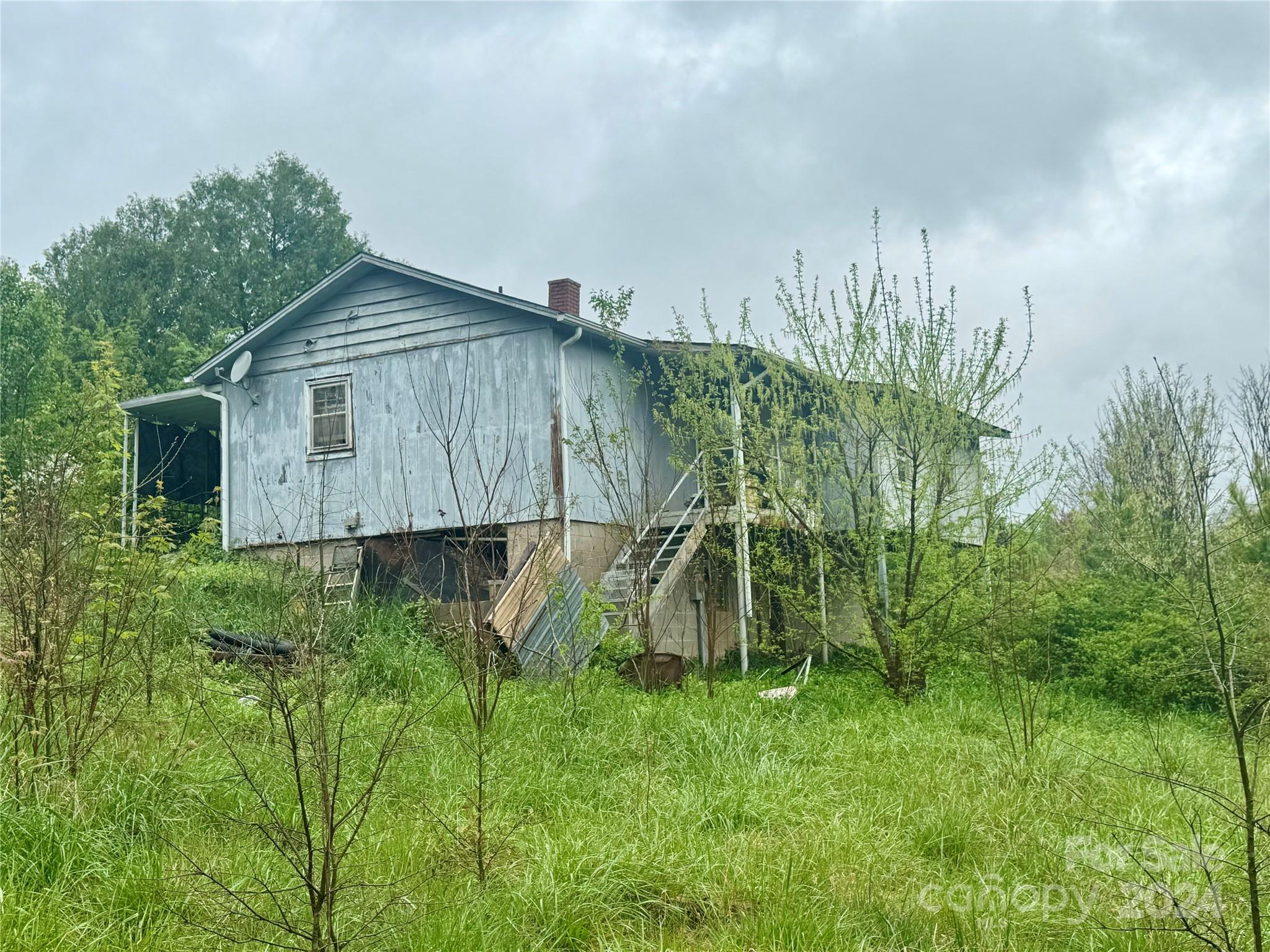 3292 Highway 64 Rutherfordton, NC 28139 - Photo 3 of 4 a view of a backyard with potted plants and large tree