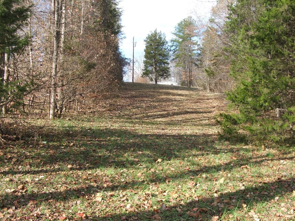 1368 Battes Road Green Bay, VA 23942 - Photo 20 of 25 Gallery Image 20