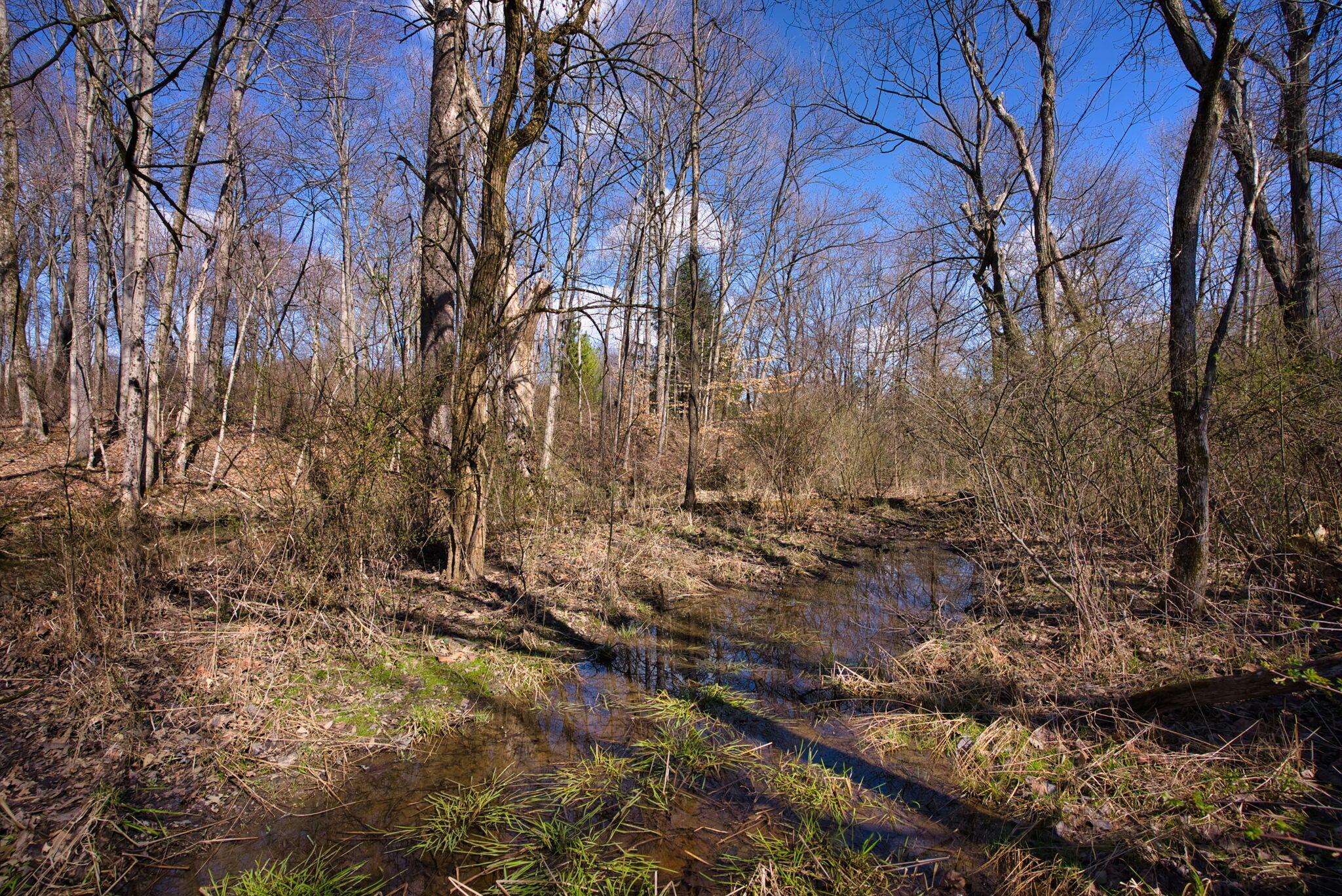 2952 Colts Neck Road Blacklick, OH 43004 - Photo 12 of 21 84-web-or-mls-2952-colts-neck-rd