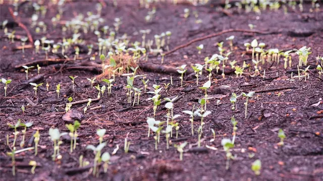 $289,900 | 180 Caravelle Farms Road, Palatka, FL 32177