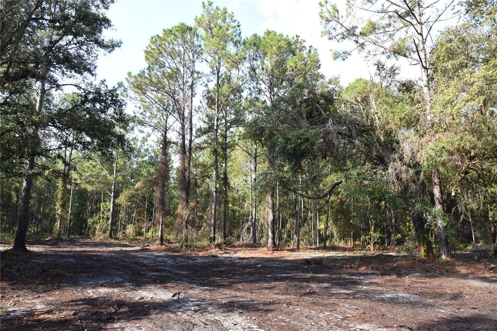 180 Caravelle Farms Road Palatka, FL 32177 - Photo 14 of 37