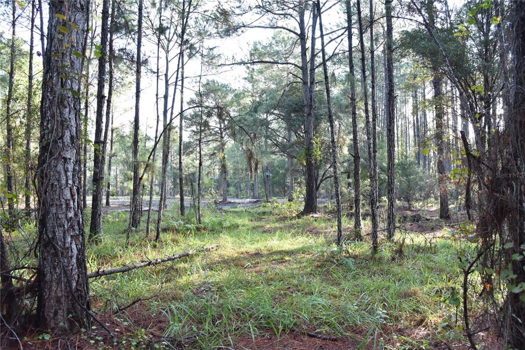 180 Caravelle Farms Road Palatka, FL 32177 - Photo 15 of 37