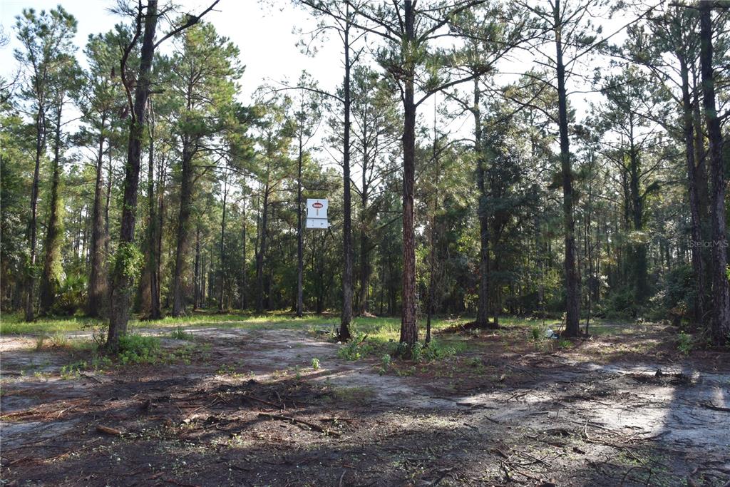 180 Caravelle Farms Road Palatka, FL 32177 - Photo 16 of 37