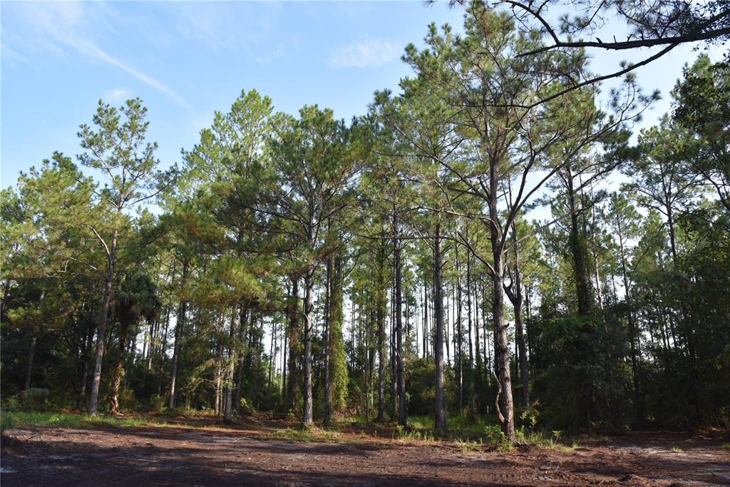 180 Caravelle Farms Road Palatka, FL 32177 - Photo 17 of 37