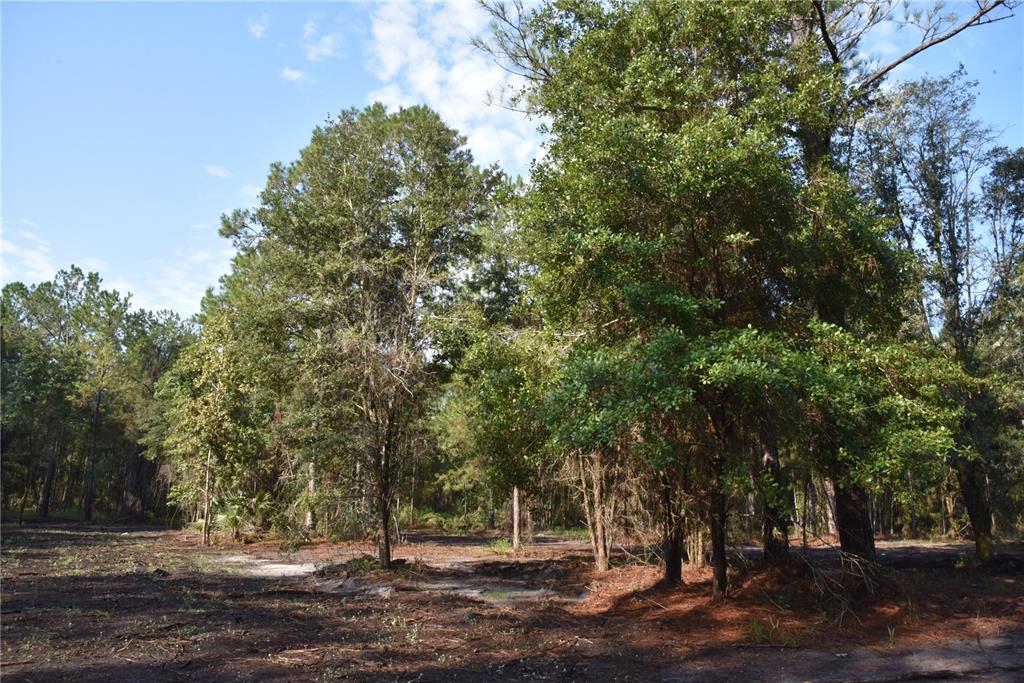 180 Caravelle Farms Road Palatka, FL 32177 - Photo 18 of 37