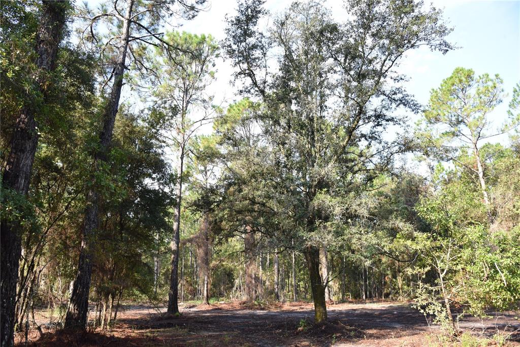 180 Caravelle Farms Road Palatka, FL 32177 - Photo 19 of 37