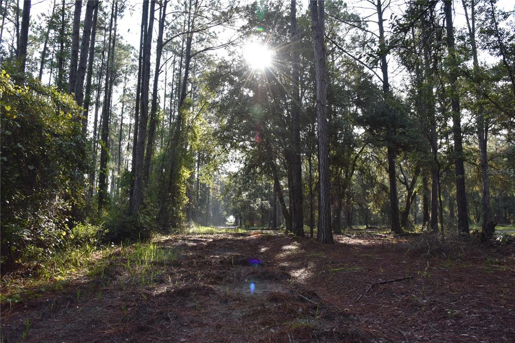 180 Caravelle Farms Road Palatka, FL 32177 - Photo 2 of 37