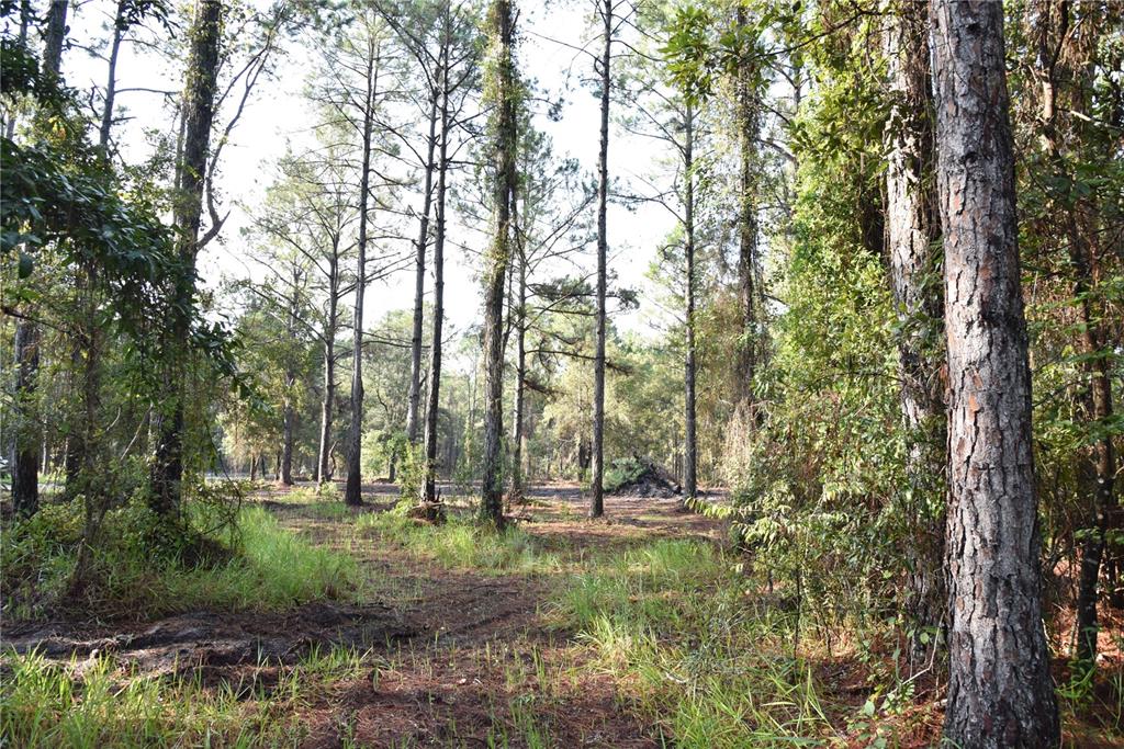 180 Caravelle Farms Road Palatka, FL 32177 - Photo 21 of 37