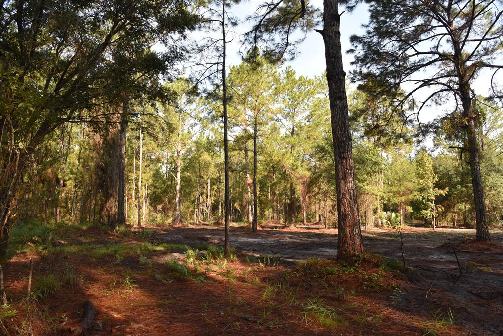 180 Caravelle Farms Road Palatka, FL 32177 - Photo 25 of 37