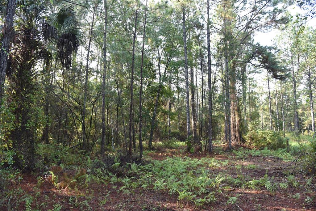 180 Caravelle Farms Road Palatka, FL 32177 - Photo 29 of 37