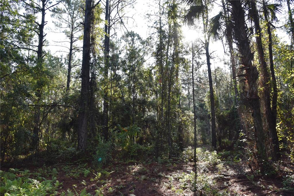 180 Caravelle Farms Road Palatka, FL 32177 - Photo 30 of 37