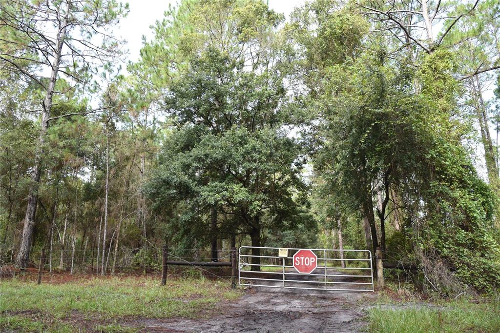 180 Caravelle Farms Road Palatka, FL 32177 - Photo 3 of 37