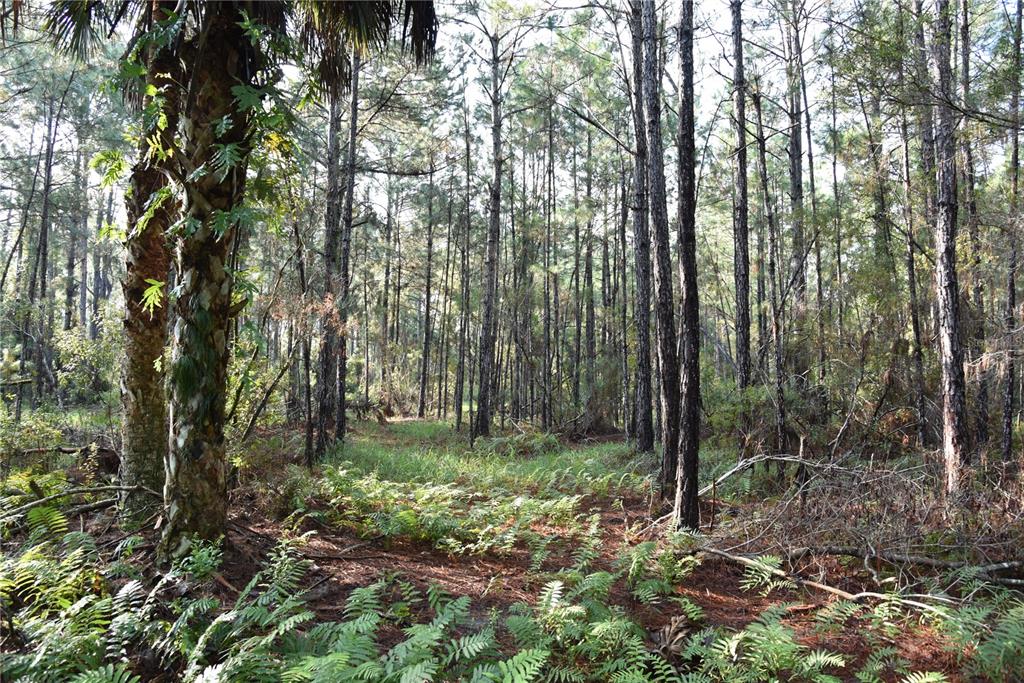 180 Caravelle Farms Road Palatka, FL 32177 - Photo 32 of 37