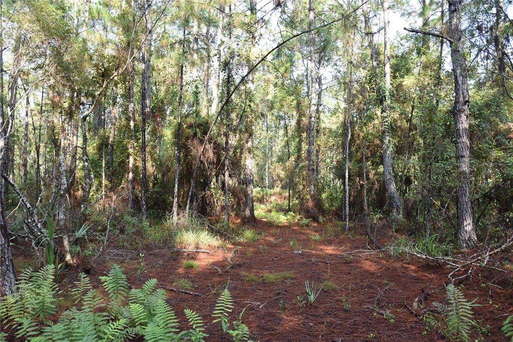 180 Caravelle Farms Road Palatka, FL 32177 - Photo 33 of 37