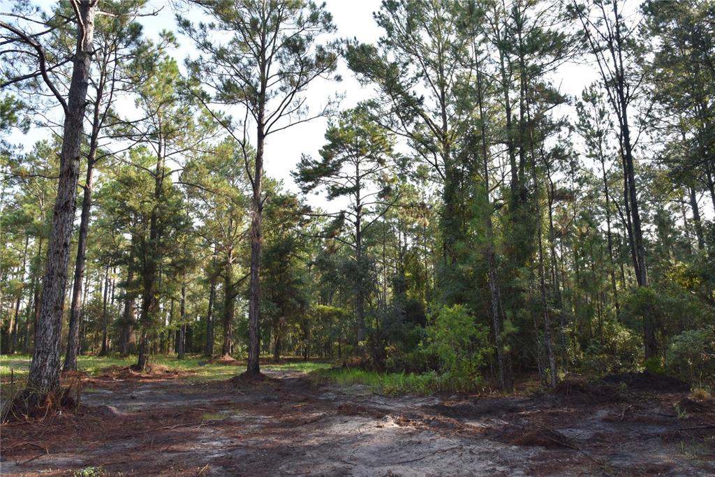 180 Caravelle Farms Road Palatka, FL 32177 - Photo 36 of 37