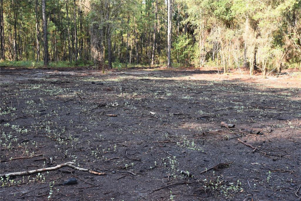 180 Caravelle Farms Road Palatka, FL 32177 - Photo 37 of 37