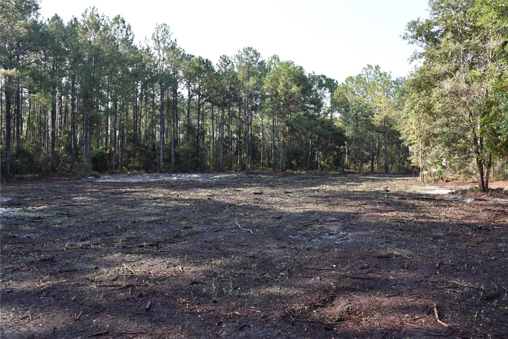 180 Caravelle Farms Road Palatka, FL 32177 - Photo 4 of 37