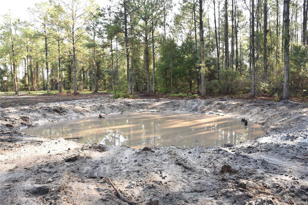 180 Caravelle Farms Road Palatka, FL 32177 - Photo 6 of 37