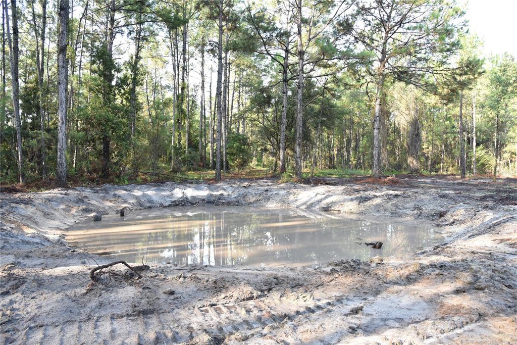 180 Caravelle Farms Road Palatka, FL 32177 - Photo 7 of 37