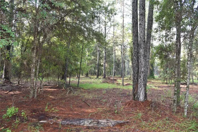 $289,900 | 180 Caravelle Farms Road, Palatka, FL 32177