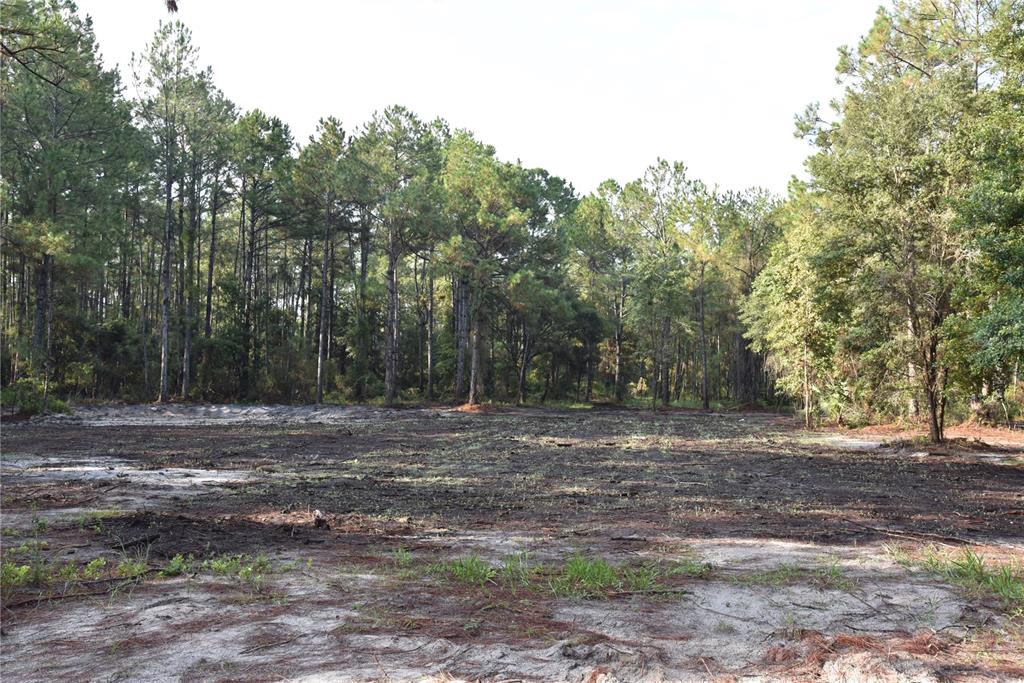 180 Caravelle Farms Road Palatka, FL 32177 - Photo 10 of 37