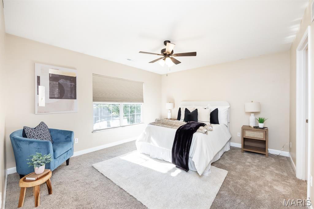 709 Michael Street O'Fallon, IL 62269 - Photo 15 of 29