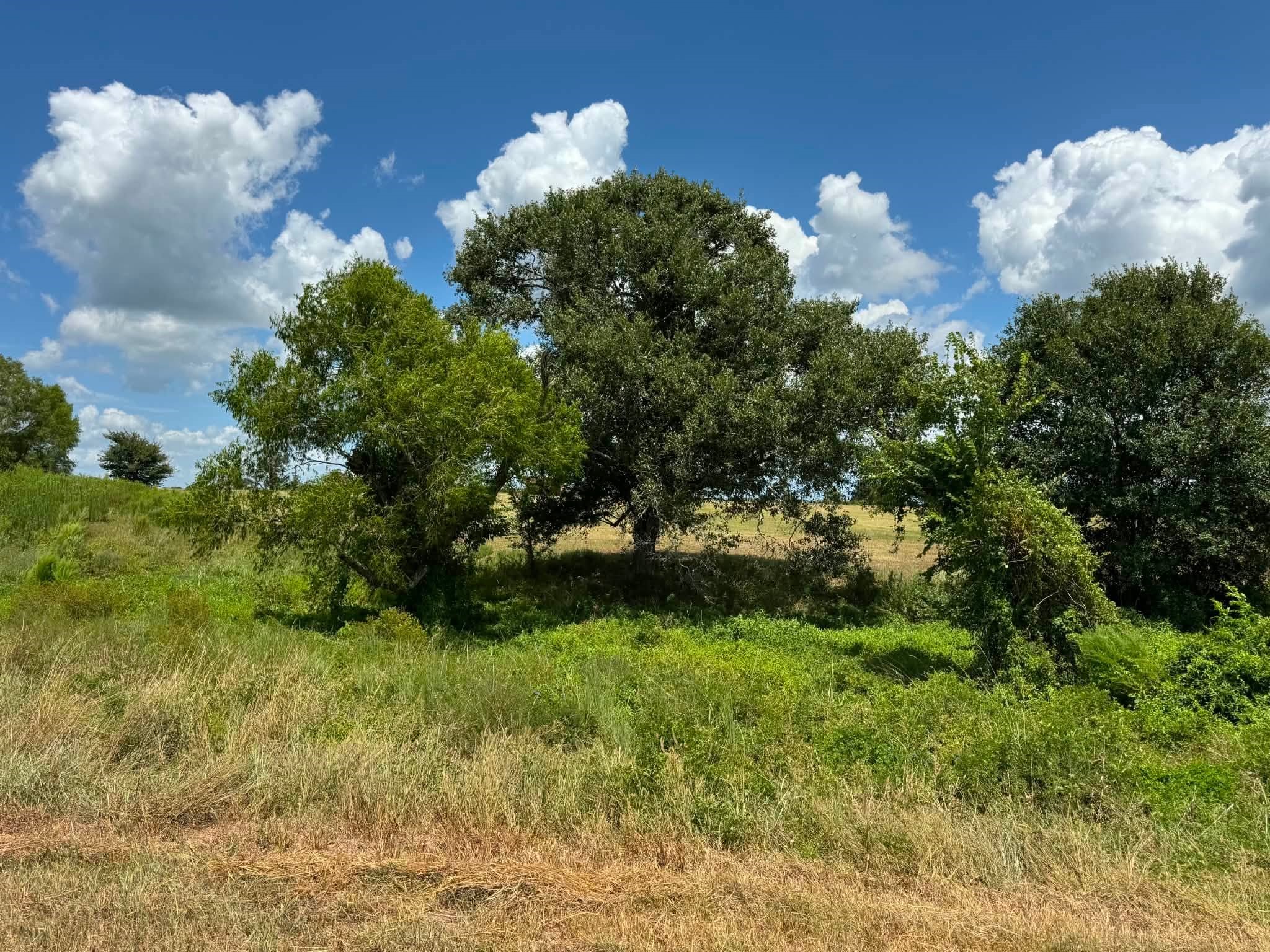 24233 Nine Bar Road Hempstead, TX 77445 - Photo 14 of 16 Gallery Image 14