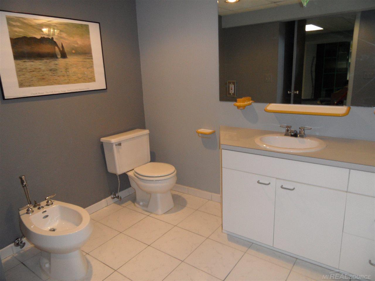 454 Daylily Drive Rochester, MI 48307 - Photo 23 of 41 BSMT BATH