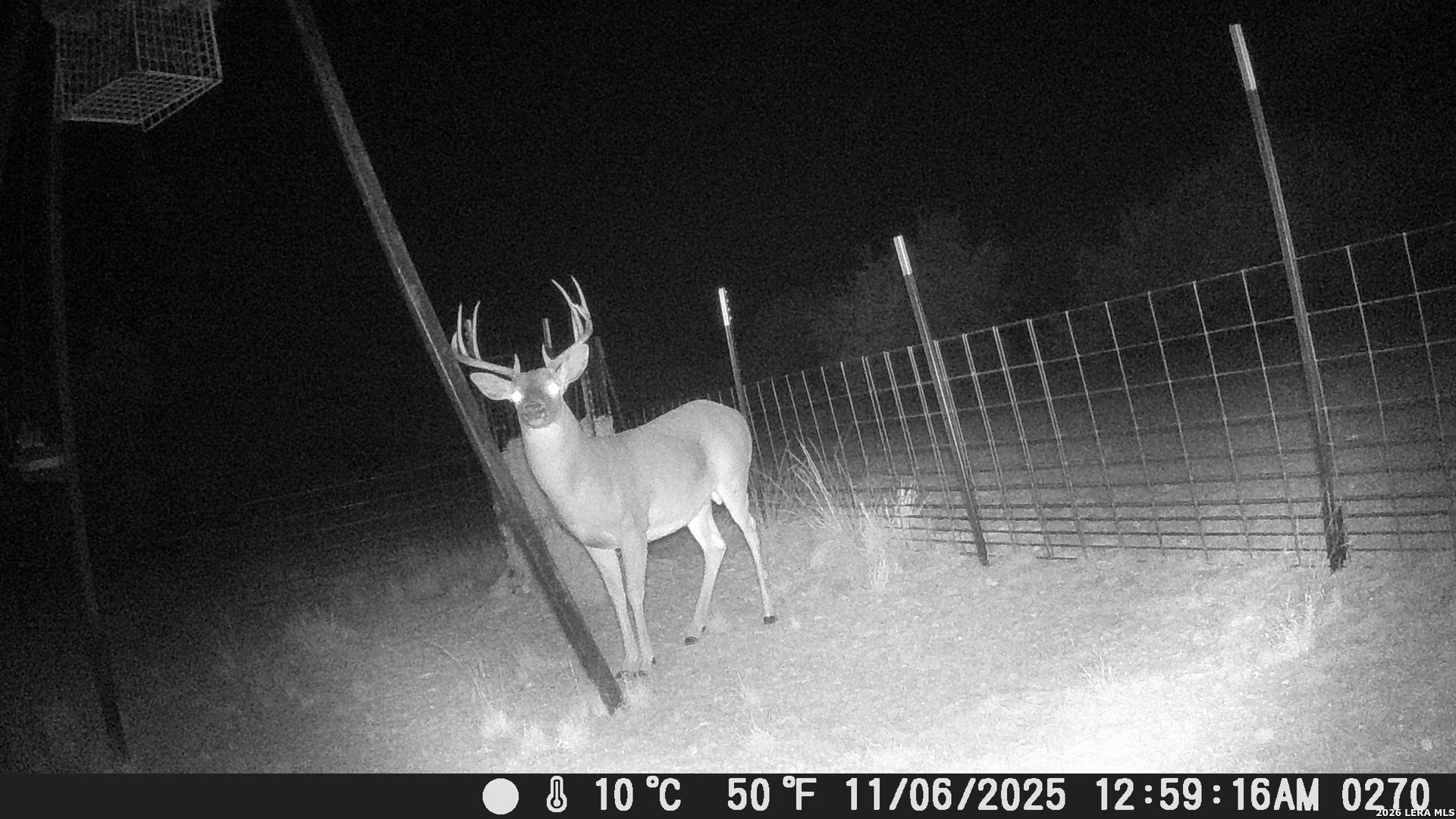 884 Sd 16010 Rocksprings, TX 78880 - Photo 11 of 41