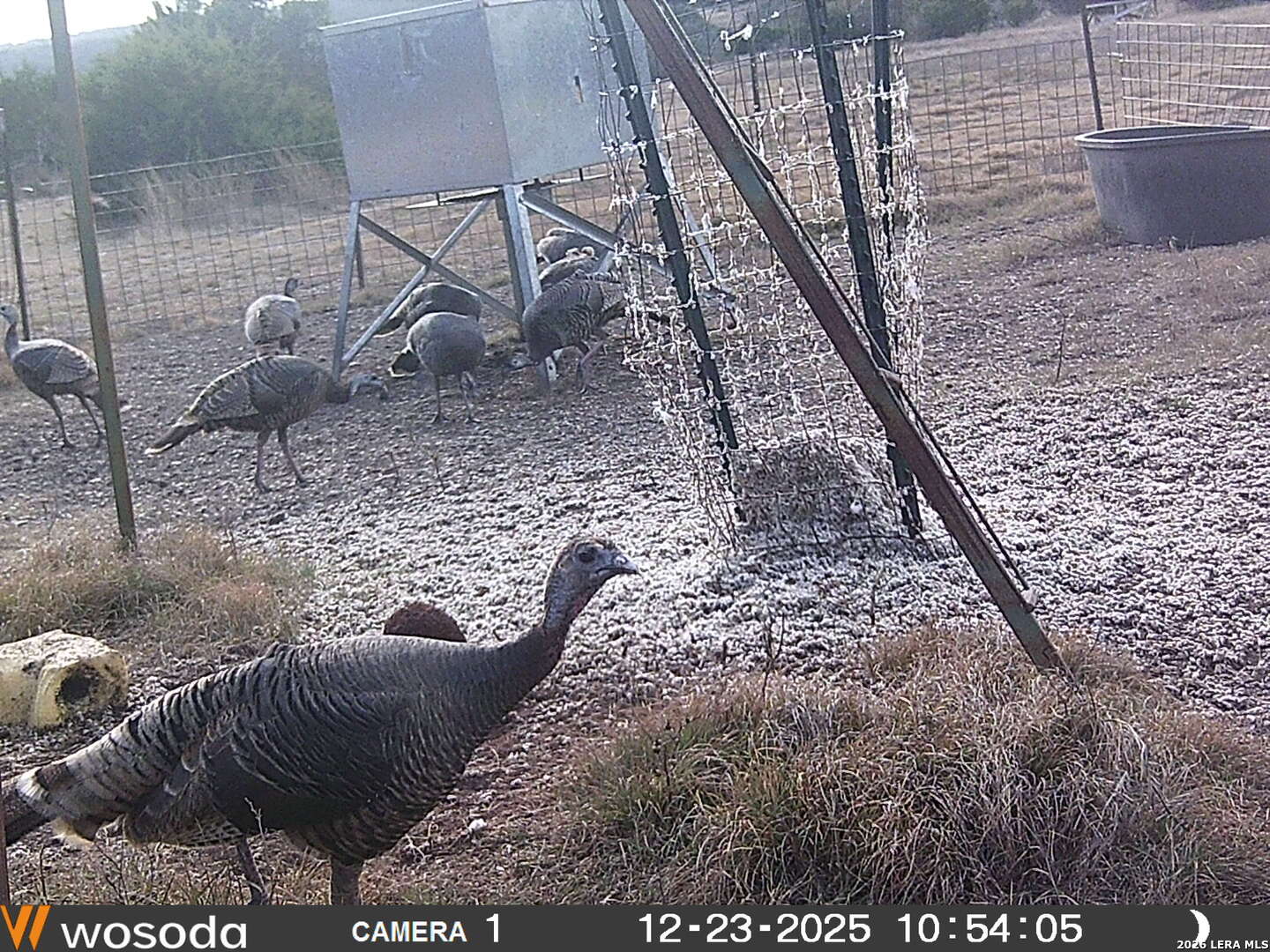 884 Sd 16010 Rocksprings, TX 78880 - Photo 13 of 41 a view of a porch