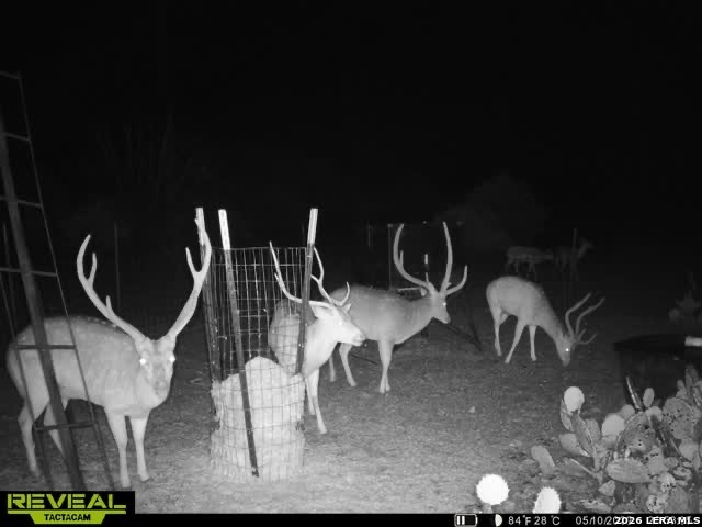 884 Sd 16010 Rocksprings, TX 78880 - Photo 14 of 41 a view of a dining room with furniture and wooden floor