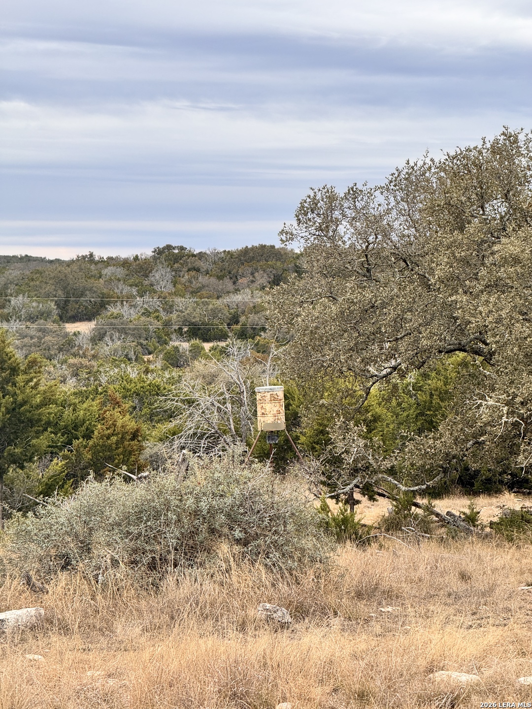 884 Sd 16010 Rocksprings, TX 78880 - Photo 29 of 41 a view of a yard with an ocean