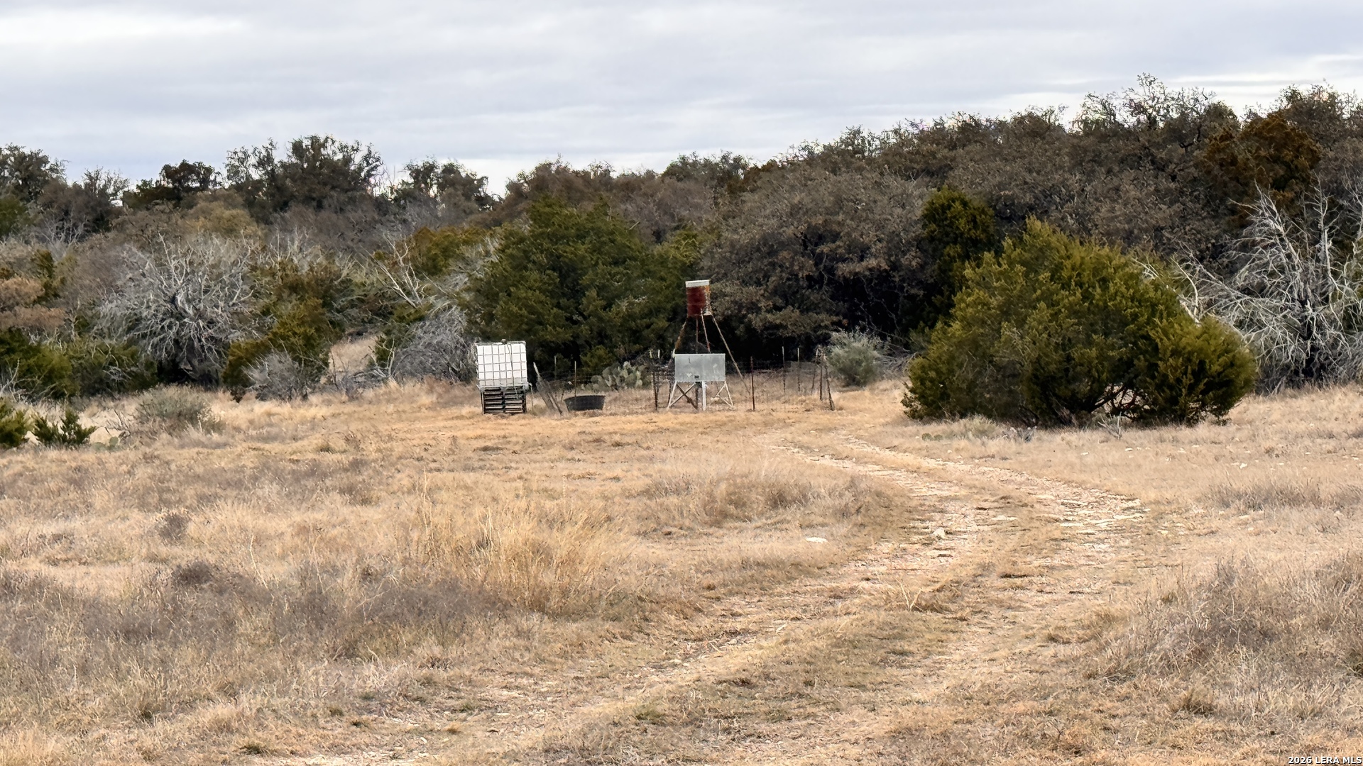 884 Sd 16010 Rocksprings, TX 78880 - Photo 4 of 41 a view of large trees with a snow on the road