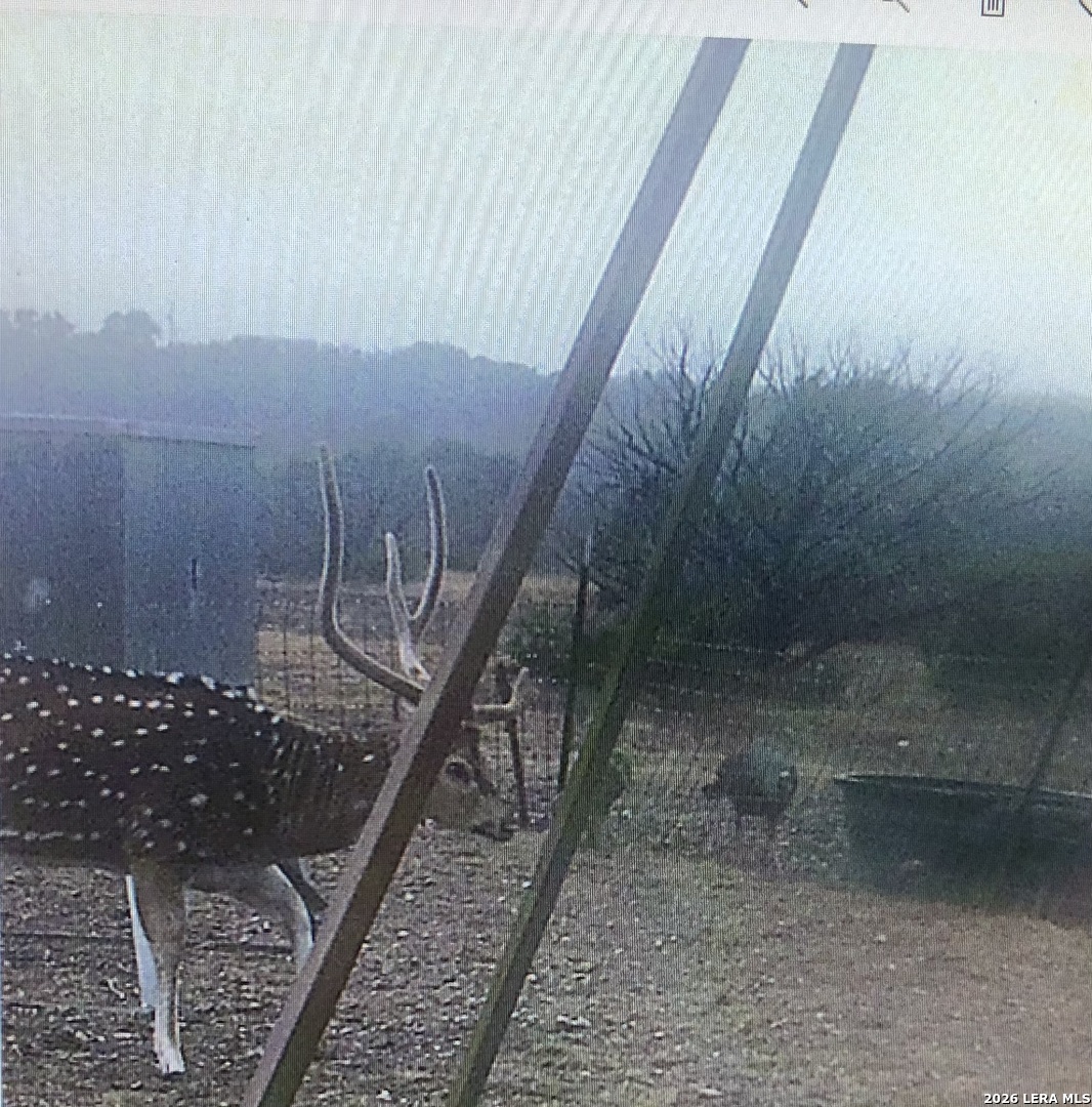 884 Sd 16010 Rocksprings, TX 78880 - Photo 5 of 41