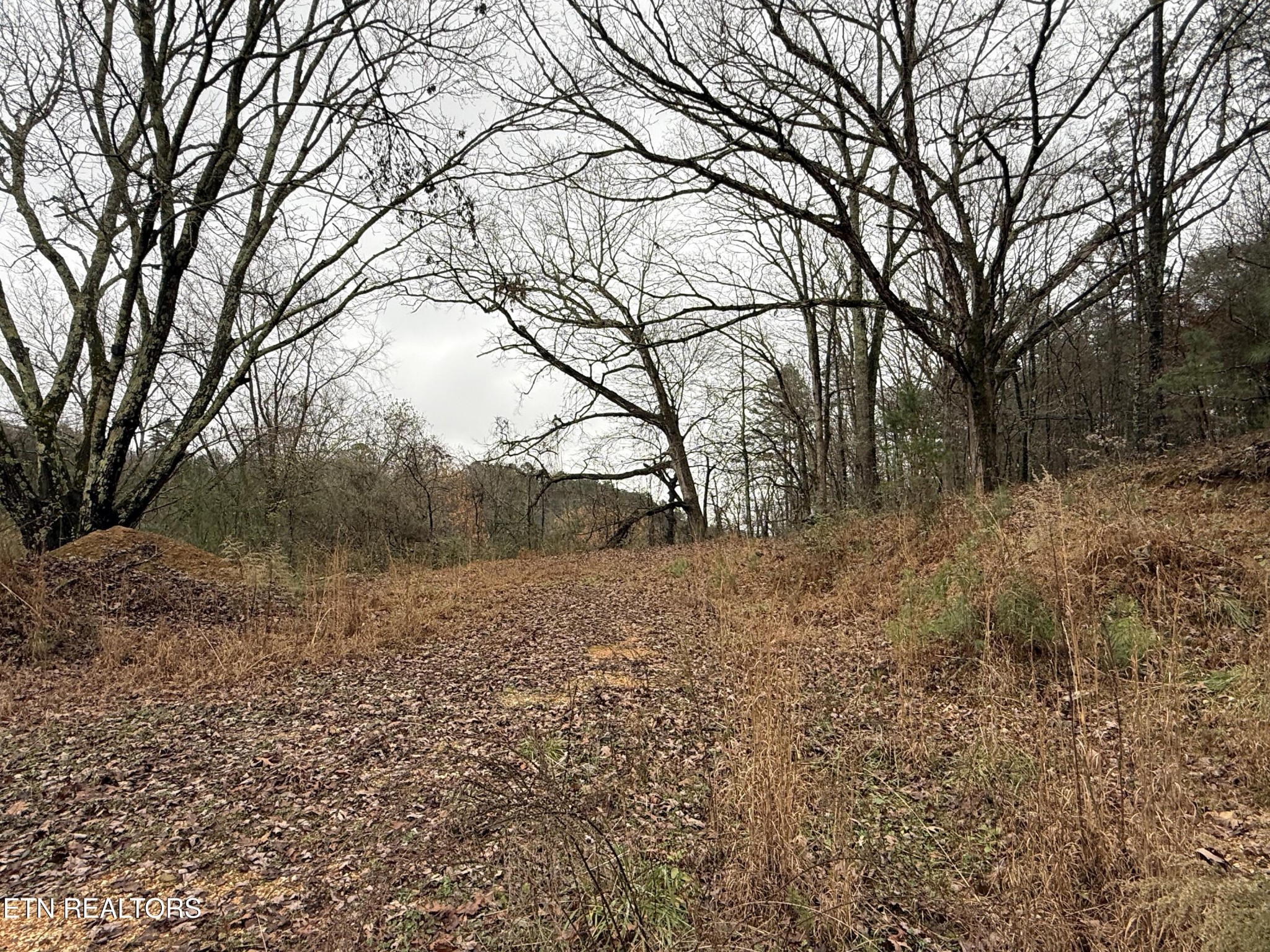 497 5 Points Road Dayton, TN 37321 - Photo 11 of 13 Gallery Image 11