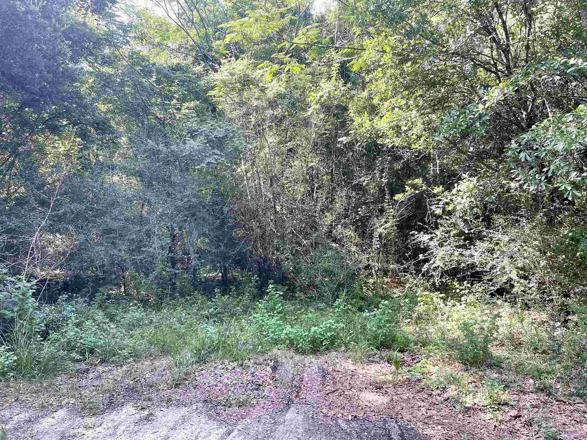 0 Daybreak Lane Pace, FL 32571 - Photo 3 of 5