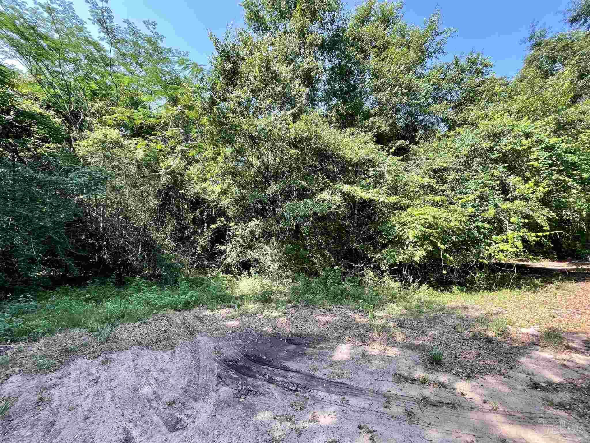 0 Daybreak Lane Pace, FL 32571 - Photo 5 of 5