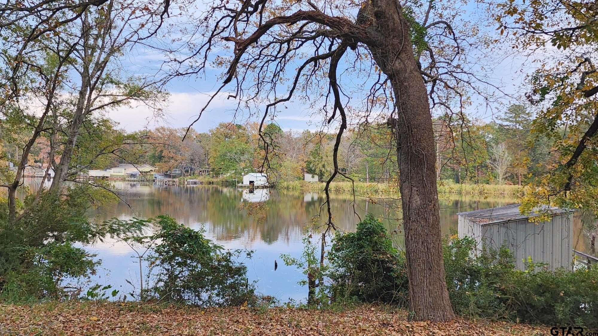 a lake view with large trees